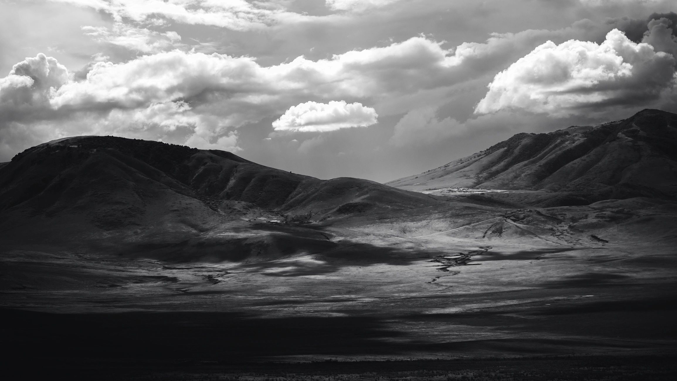 Savane poétique en noir et blanc